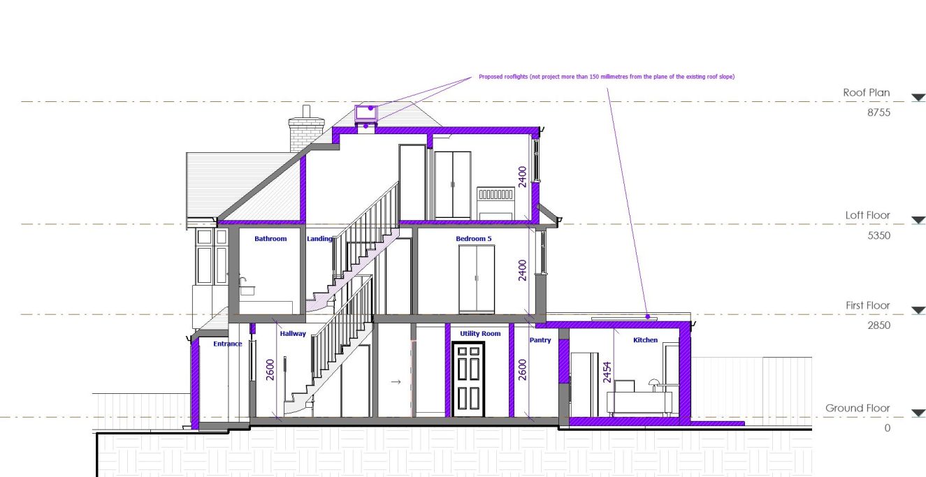 Section drawing of a house highlighting interior layout and structural elements in purple.